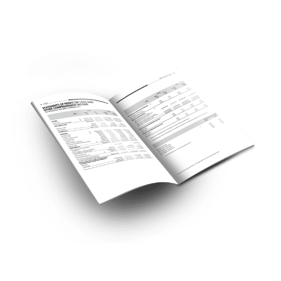 Annual Report Financial Statement Designed by KokCreative